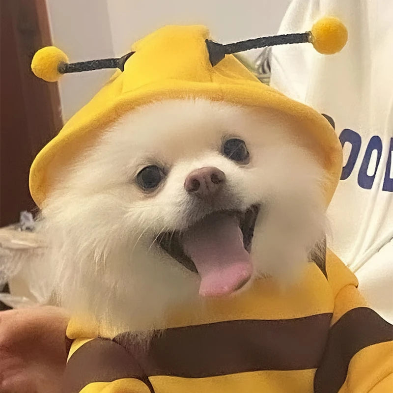 Fancy Hoodie Pet Coat